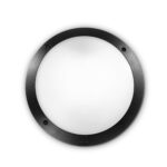 IDEAL LUX Φωτιστικό Οροφής POLAR-1 1xE27 IP66 Μαύρου Χρώματος – 096674