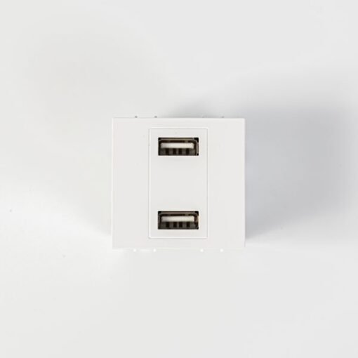 ΠΡΙΖΑ 2 Χ USB MODULES ΛΕΥΚΗ EUROLAMP – 152-20058