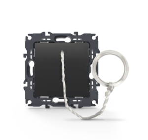 PRIME ΜΠΟΥΤΟΝ ΤΡΑΒΗΧΤΟ ΜΕ ΚΛΙΠ 1P 10A 250VAC IP20 ΑΝΘΡΑΚΙ ACA – 1000112405