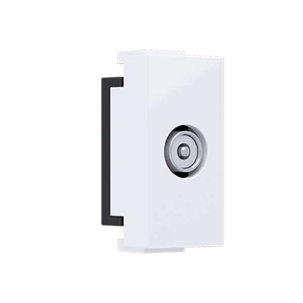 ^ MODYS ΑΝΤΑΠΤΟΡΑΣ ΤΗΛΕΟΡΑΣΗΣ TV-R ΑΡΣΕΝΙΚΟΣ 1 ΣΤ. ΛΕΥΚΟΣ IP20 ACA – 10101312463