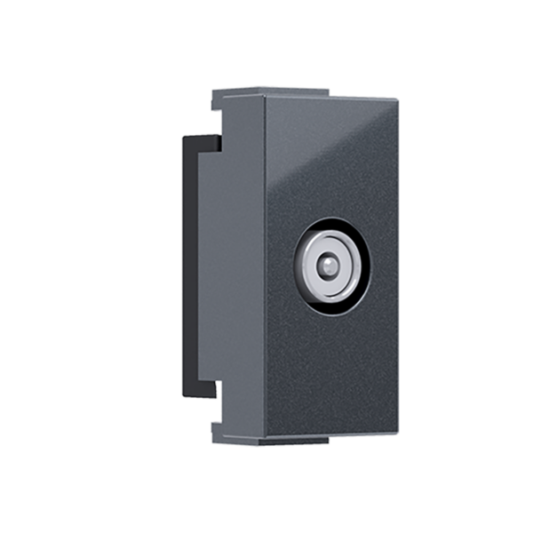 ^ MODYS ΑΝΤΑΠΤΟΡΑΣ ΤΗΛΕΟΡΑΣΗΣ TV-R ΑΡΣΕΝΙΚΟΣ 1 ΣΤ. ΑΝΘΡΑΚΙ IP20 ACA – 10101312483