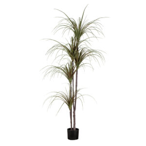 GloboStar® Artificial Garden DRAGON BLOOD TREE 20016 Τεχνητό Διακοσμητικό Φυτό Δράκαινα Υ180cm