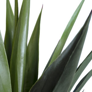GloboStar® Artificial Garden SISAL AGAVE 20078 Τεχνητό Διακοσμητικό Φυτό Αγαύη Υ110cm