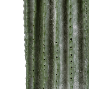 GloboStar® Artificial Garden CARNEGIEA CACTUS 20124 Τεχνητό Διακοσμητικό Φυτό Κάκτος Σαγκουάρο Υ70cm