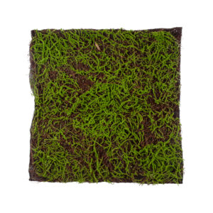 GloboStar® Artificial Garden BRYOPHYTA 20143 Τεχνητό Διακοσμητικό Πάνελ Φυλλωσιάς – Κάθετος Κήπος Βρύα Μ100 x Π100 x Υ5cm