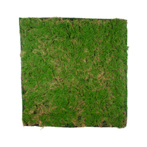 GloboStar® Artificial Garden BRYOPHYTA 20144 Τεχνητό Διακοσμητικό Πάνελ Φυλλωσιάς – Κάθετος Κήπος Βρύα Μ100 x Π100 x Υ3cm