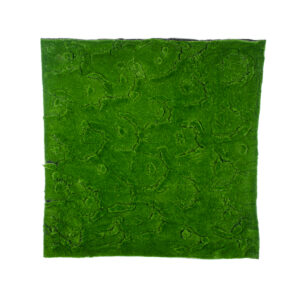 GloboStar® Artificial Garden BRYOPHYTA 20145 Τεχνητό Διακοσμητικό Πάνελ Φυλλωσιάς – Κάθετος Κήπος Βρύα Μ100 x Π100 x Υ3cm