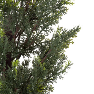 GloboStar® Artificial Garden LEMON CYPRESS 20151 Τεχνητό Διακοσμητικό Φυτό Λεμονόκυπάρισσο Υ120cm