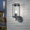 Φωτιστικό Τοίχου Trio Lighting   E27 Ανθρακί Αλουμίνιο   IP44 202360142