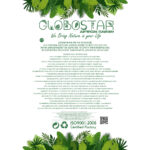 GloboStar® Artificial Garden CHRISTMASS FLOWER EUPHORBIA 20365 Τεχνητό Διακοσμητικό Χριστουγεννιάτικο Λουλούδι Αλεξανδρινό Υ49cm
