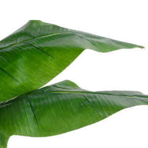 GloboStar® Artificial Garden BANANA STRELITZIA REGINAE 20381 Τεχνητό Διακοσμητικό Φυτό  Μπανανιά – Στρελίτσια – Πουλί του Παραδείσου Υ230cm