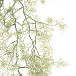 GloboStar® Artificial Garden EUCALYPTUS HANGING BRANCH 20412 Τεχνητό Διακοσμητικό Κρεμαστό Φυτό Ευκάλυπτος Υ90cm