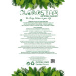 GloboStar® Artificial Garden BUBASTIS 20527 Κρεμαστό Διακοσμητικό Κεραμικό Κασπώ Γλάστρα – Flower Pot Λευκό με Πράσινο Φ13 x Υ10.5cm