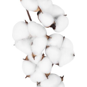 GloboStar® Artificial Garden COTTON BRANCH 20558 Τεχνητό Διακοσμητικό Κλαδί βαμβάκι Υ45cm