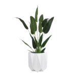 GloboStar® Artificial Garden PADOVA 20741 Επιδαπέδιο Πολυεστερικό Τσιμεντένιο Κασπώ Γλάστρα – Flower Pot Λευκό Φ51 x Υ46cm