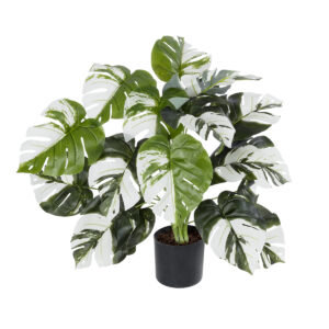 GloboStar® Artificial Garden ALBINO MONSTERA PLANT 20925 – Διακοσμητικό Φυτό Λευκή Μονστέρα Φ70 x Υ75cm