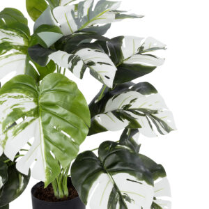 GloboStar® Artificial Garden ALBINO MONSTERA PLANT 20925 – Διακοσμητικό Φυτό Λευκή Μονστέρα Φ70 x Υ75cm