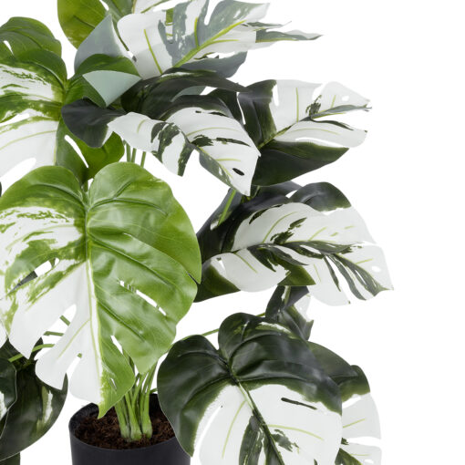 GloboStar® Artificial Garden ALBINO MONSTERA PLANT 20925 – Διακοσμητικό Φυτό Λευκή Μονστέρα Φ70 x Υ75cm