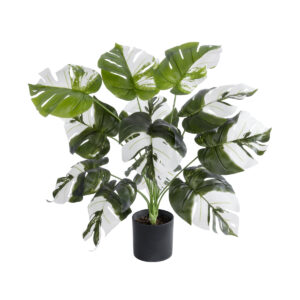 GloboStar® Artificial Garden ALBINO MONSTERA PLANT 20935 – Διακοσμητικό Φυτό Λευκή Μονστέρα Φ60 x Υ55cm