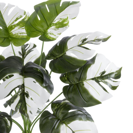 GloboStar® Artificial Garden ALBINO MONSTERA PLANT 20935 – Διακοσμητικό Φυτό Λευκή Μονστέρα Φ60 x Υ55cm