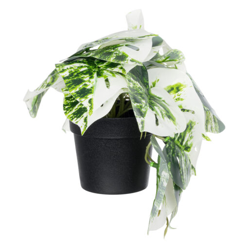 GloboStar® Artificial Garden ALBINO MONSTERA PLANT 20946 – Διακοσμητικό Φυτό Μονστέρα Φ23 x Υ16cm