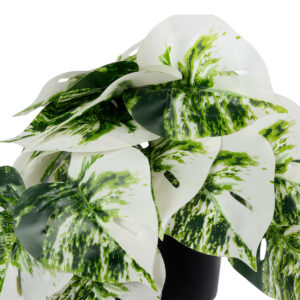 GloboStar® Artificial Garden ALBINO MONSTERA PLANT 20946 – Διακοσμητικό Φυτό Μονστέρα Φ23 x Υ16cm
