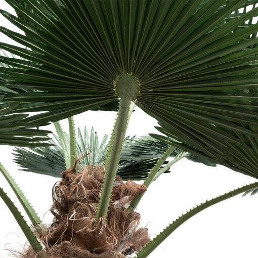 GloboStar® Artificial Garden PLANT PALM TREE 21057 Διακοσμητικό Δέντρο Φοίνικα  Φ240 x Υ600cm