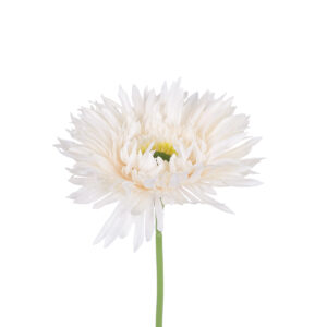 GloboStar® Artificial Garden PALE PINK GERBERABRANCH 21204 Τεχνητό Διακοσμητικό Κλαδί Ζέρμπερας Απαλό Ροζ Y44cm