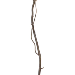 GloboStar® Artificial Garden REAL DRIED WITHERED VINE STEM 21220 Τεχνητό Διακοσμητικό Κλαδί Αμπελιού Y120cm
