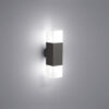 Φωτιστικό Τοίχου Trio Lighting LED 4W E14 Ανθρακί Αλουμίνιο 320lm 3000K IP44 220060242