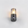 Trio Lighting – 222260132