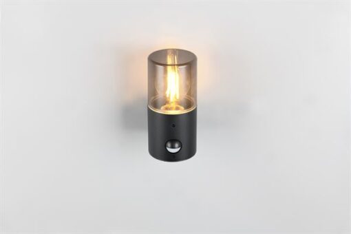 Trio Lighting – 222260132