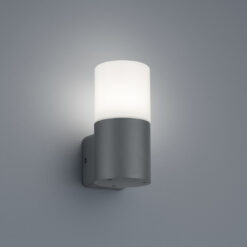 Φωτιστικό Τοίχου Trio Lighting   E27 Ανθρακί Αλουμίνιο   IP44 224060142