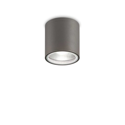 IDEAL LUX Φωτιστικό Σποτ Οροφής Βεράντας GUN 1xGU10 IP44 Χρώματος Ανθρακί – 236865
