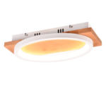 Φωτιστικό Οροφής Trio Lighting LED 16W 3000K Λευκού Χρώματος Step Dimmable – 241110131