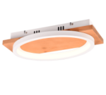 Φωτιστικό Οροφής Trio Lighting LED 16W 3000K Λευκού Χρώματος Step Dimmable – 241110131