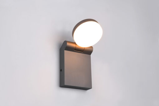 Trio Lighting – 245560142