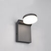 Trio Lighting – 245560142