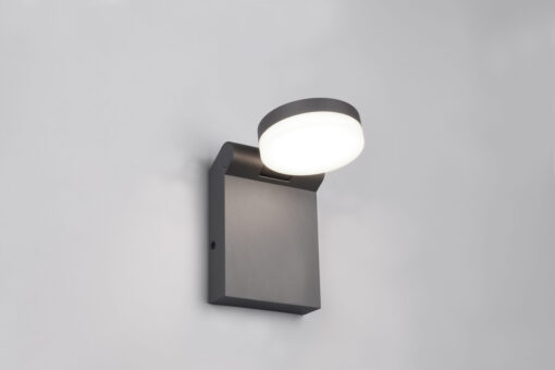 Trio Lighting – 245560142