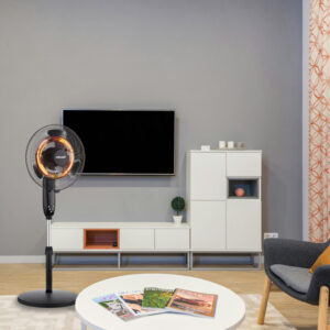 ΑΝΕΜΙΣΤΗΡΑΣ ΟΡΘΟΣΤΑΤΗΣ Φ40 35W ΚΑΙ ΘΕΡΜΑΝΤΙΚΟ 2000W ΜΑΥΡΟΣ 2 ΣΕ 1 EUROLAMP – 300-20018