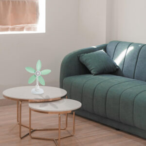 ΑΝΕΜΙΣΤΗΡΑΣ ΕΠΙΤΡΑΠΕΖΙΟΣ ΜΕ ΜΑΝΤΑΛΑΚΙ ΚΑΙ ΜΑΛΑΚΕΣ ΦΤΕΡΩΤΕΣ ΛΕΥΚΟ-ΜΕΝΤΑ Φ34 12W EUROLAMP – 300-20515