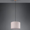 Κρεμαστό Φωτιστικό Trio Lighting   E27 Νίκελ Αντικέ Μεταλλικό    302100130