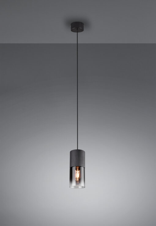 Κρεμαστό Φωτιστικό Trio Lighting 1x E27 Μαύρο Ματ Μεταλλικό με Φιμέ Γυαλί –  310600132