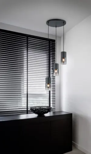 Κρεμαστό Φωτιστικό Trio Lighting   E27 Μαύρο Ματ Μεταλλικό    310630332