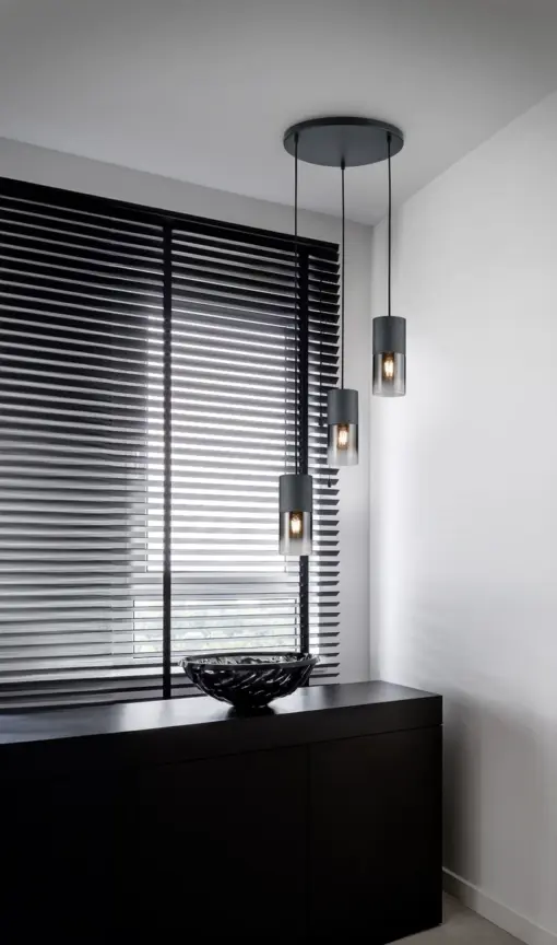 Κρεμαστό Φωτιστικό Trio Lighting   E27 Μαύρο Ματ Μεταλλικό    310630332