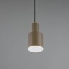 Κρεμαστό Φωτιστικό Σποτ Γκρι Taupe AGUDO 1x E27 Trio Lighting – 319400141