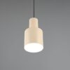 Κρεμαστό Φωτιστικό Σποτ Μπεζ AGUDO 1x E27 Trio Lighting – 319400144