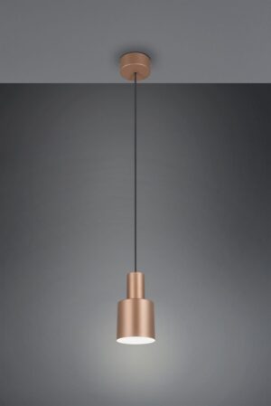 Κρεμαστό Φωτιστικό Σποτ Καφέ AGUDO 1x E27 Trio Lighting – 319400165