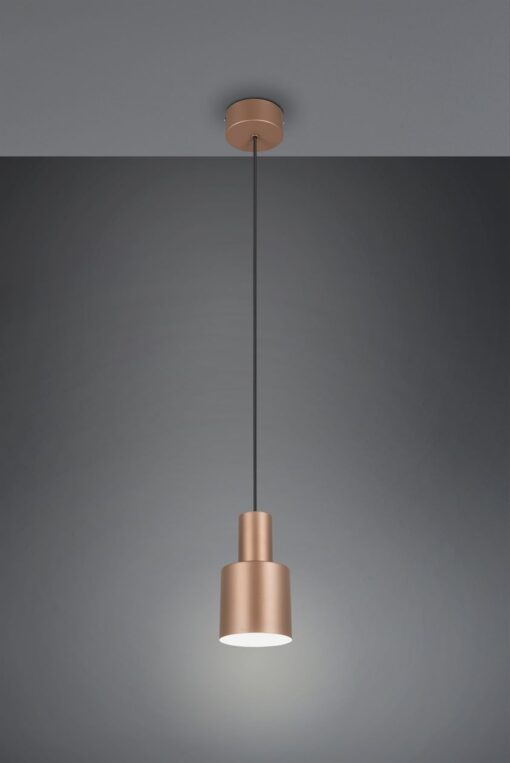 Κρεμαστό Φωτιστικό Σποτ Καφέ AGUDO 1x E27 Trio Lighting – 319400165