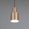 Κρεμαστό Φωτιστικό Σποτ Καφέ AGUDO 1x E27 Trio Lighting – 319400165